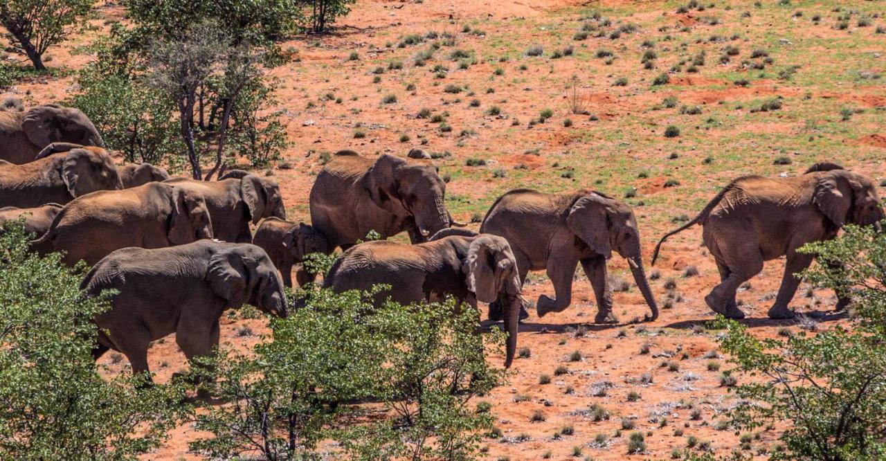 Grootberg Lodge Damaraland Εξωτερικό φωτογραφία