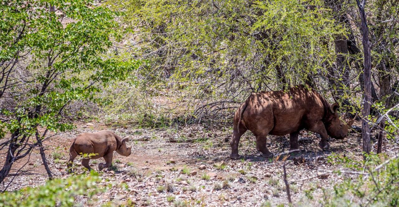 Grootberg Lodge Damaraland Εξωτερικό φωτογραφία