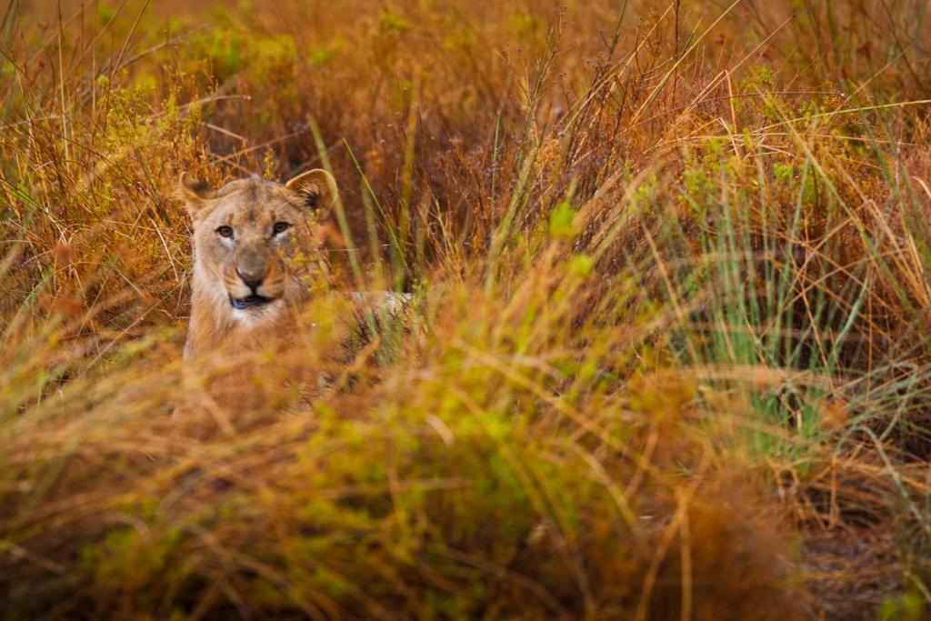 Grootberg Lodge Damaraland Εξωτερικό φωτογραφία
