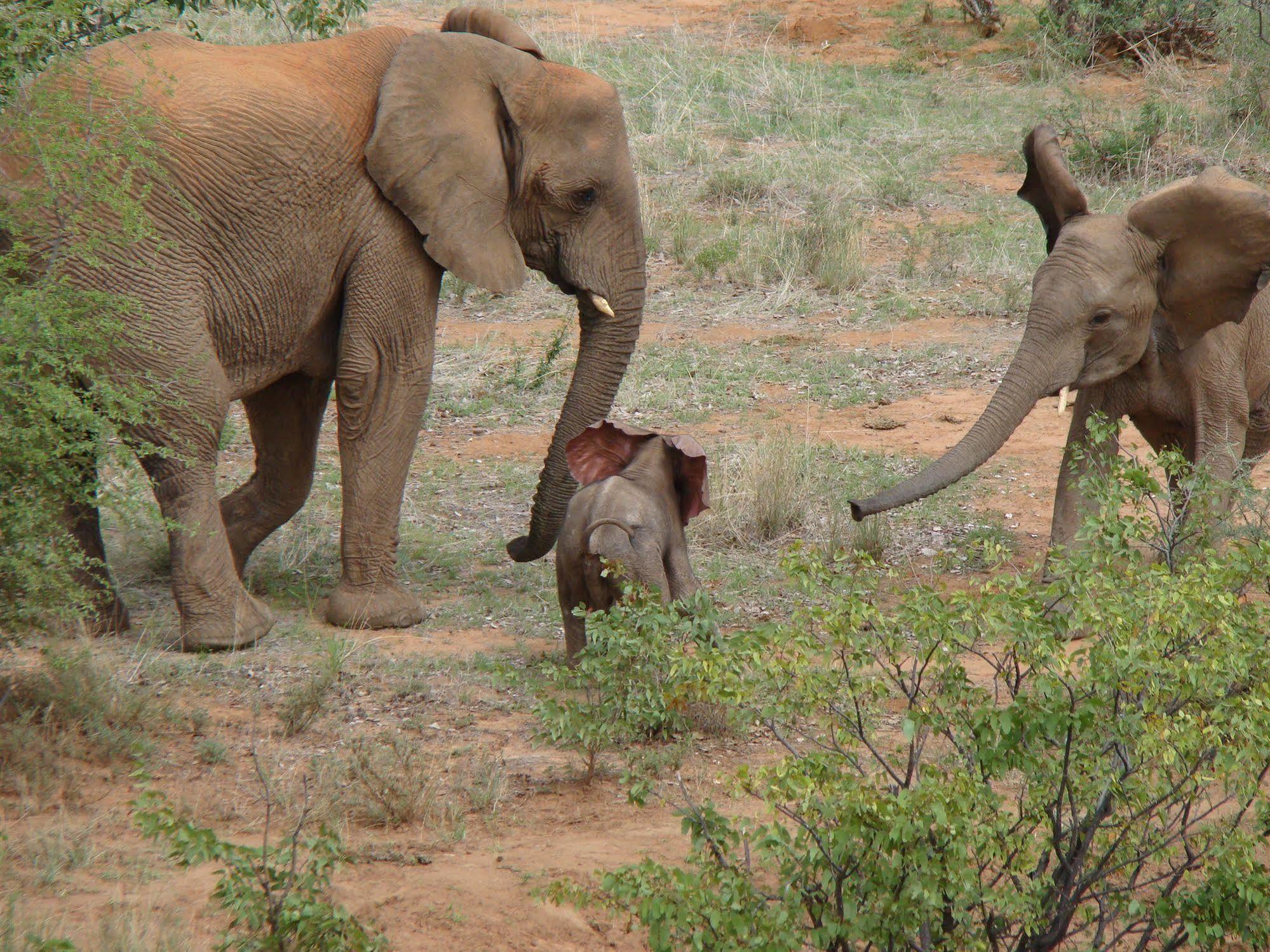 Grootberg Lodge Damaraland Εξωτερικό φωτογραφία