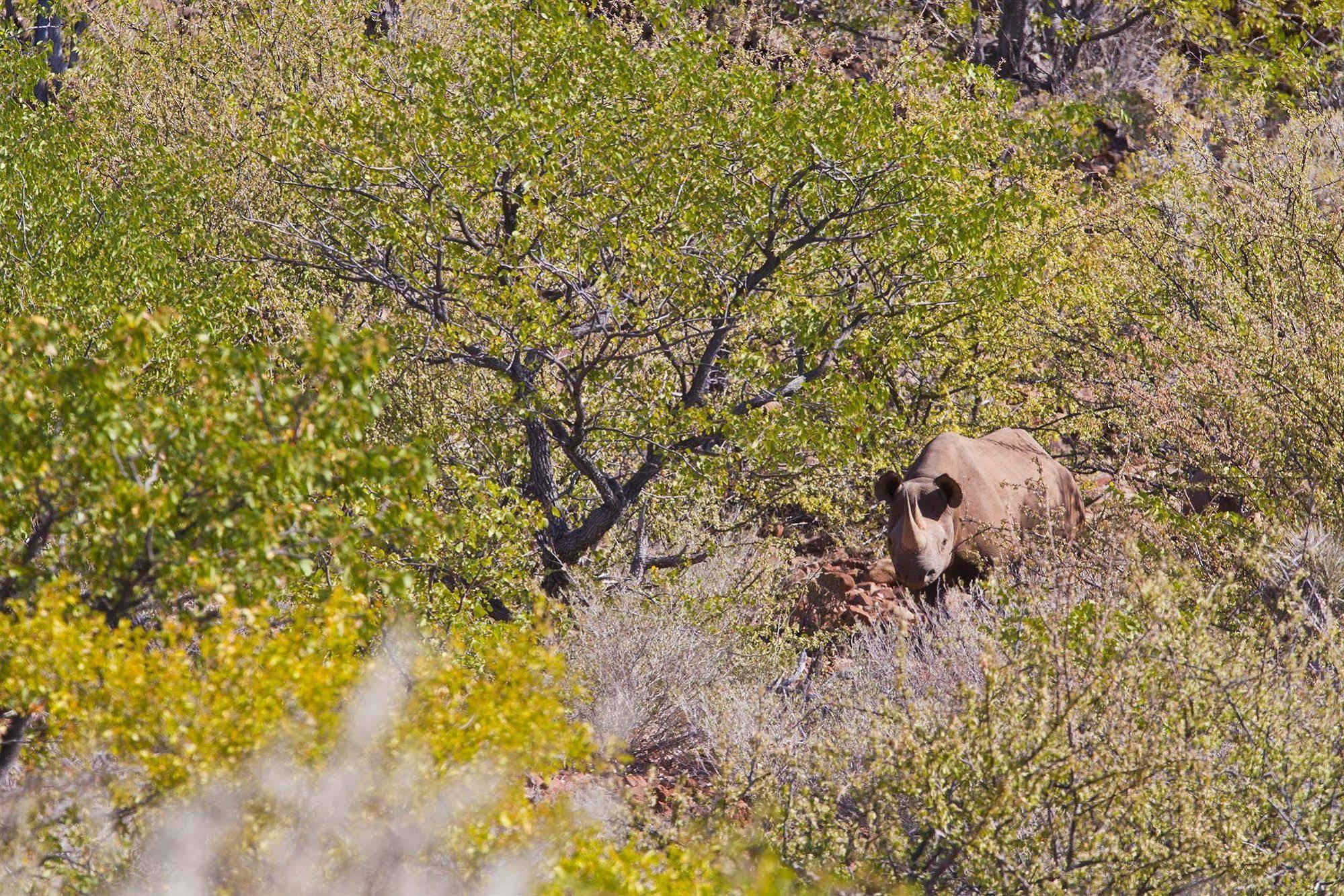 Grootberg Lodge Damaraland Εξωτερικό φωτογραφία