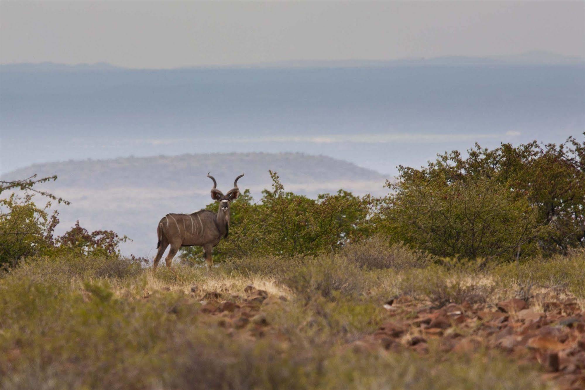 Grootberg Lodge Damaraland Εξωτερικό φωτογραφία